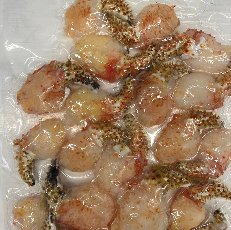 Pinzas de Centollón