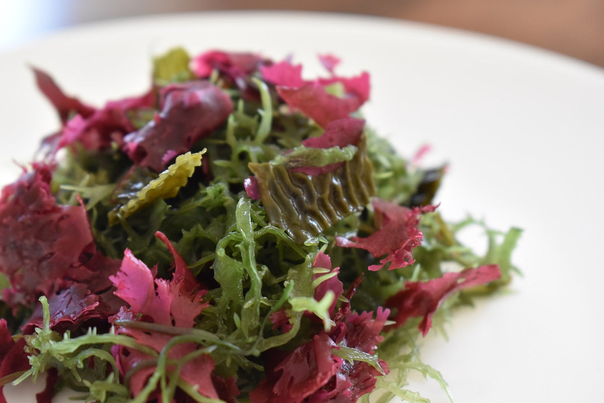 Ensalada de algas chilenas