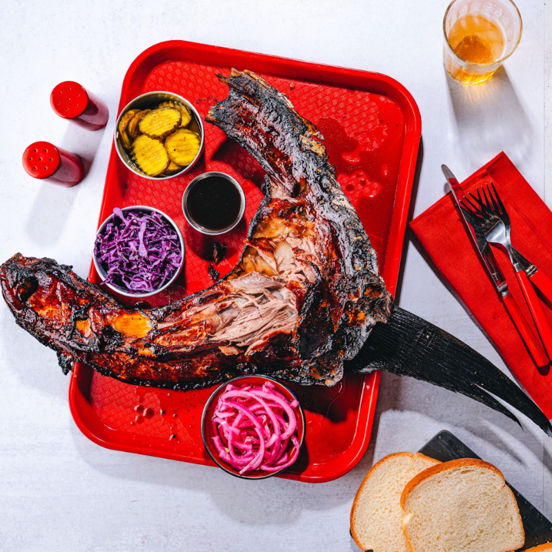 Cabeza Atún aleta azul