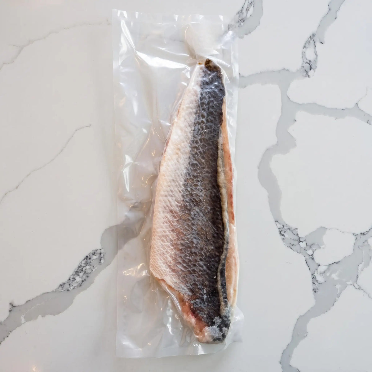Filete de Corvina nacional con piel congelado