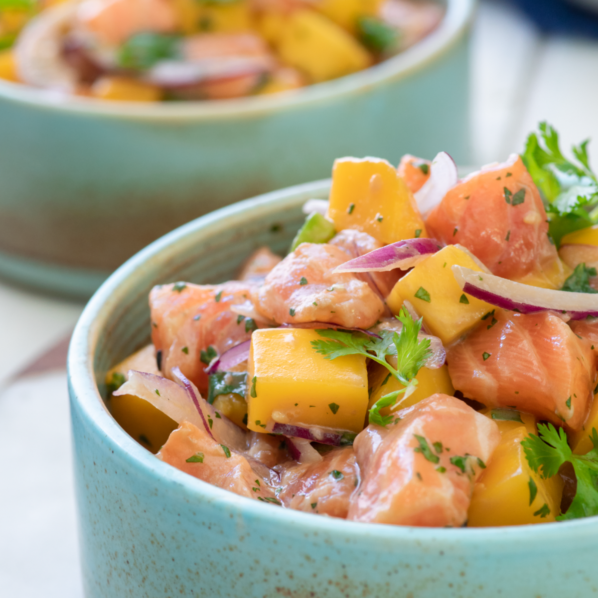 Cubos de Salmón Premium 1kg