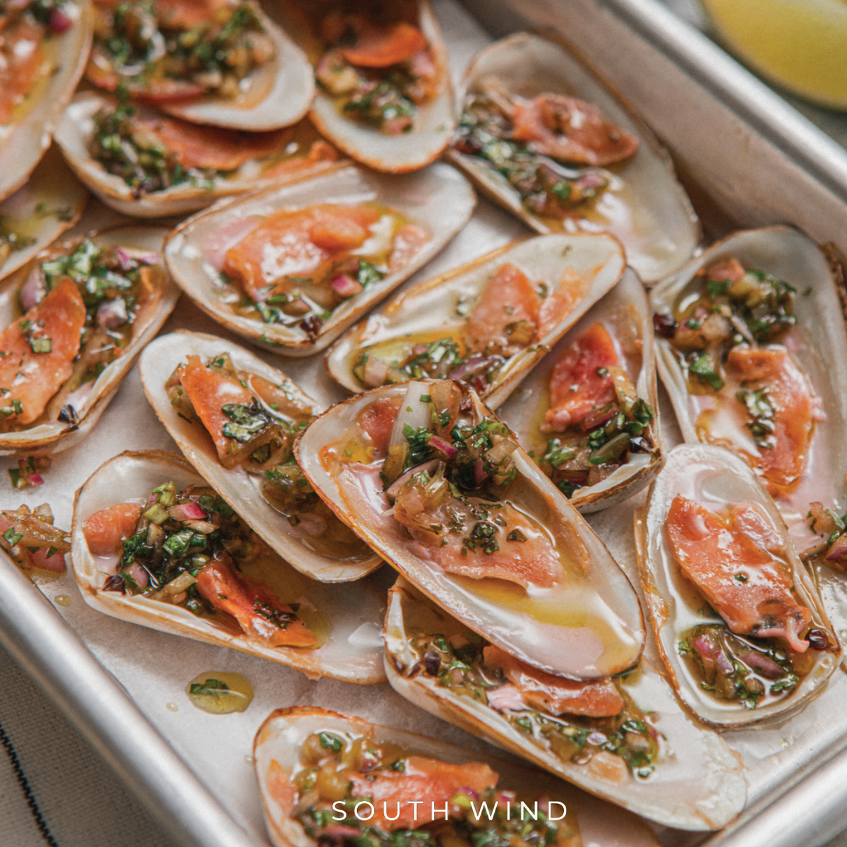 Machas media concha (20 unid)