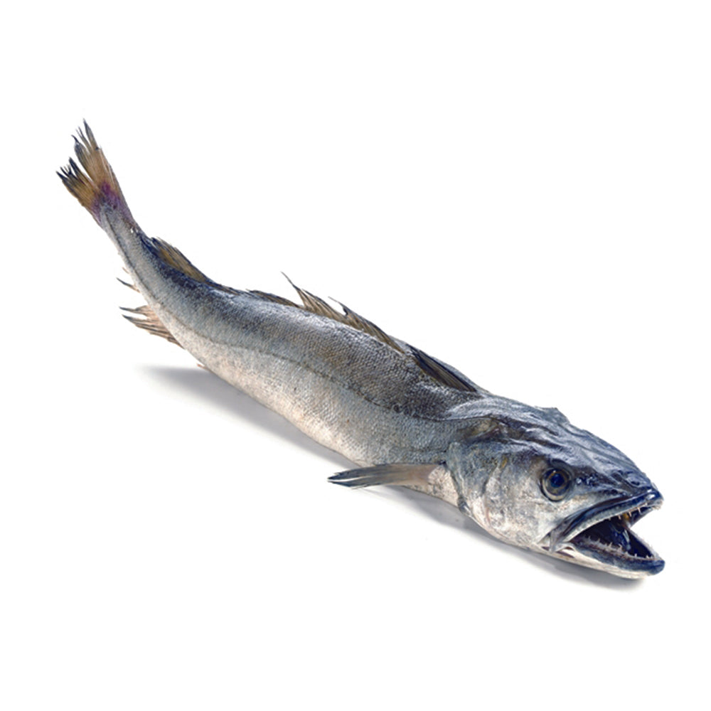 Merluza austral filete congelado