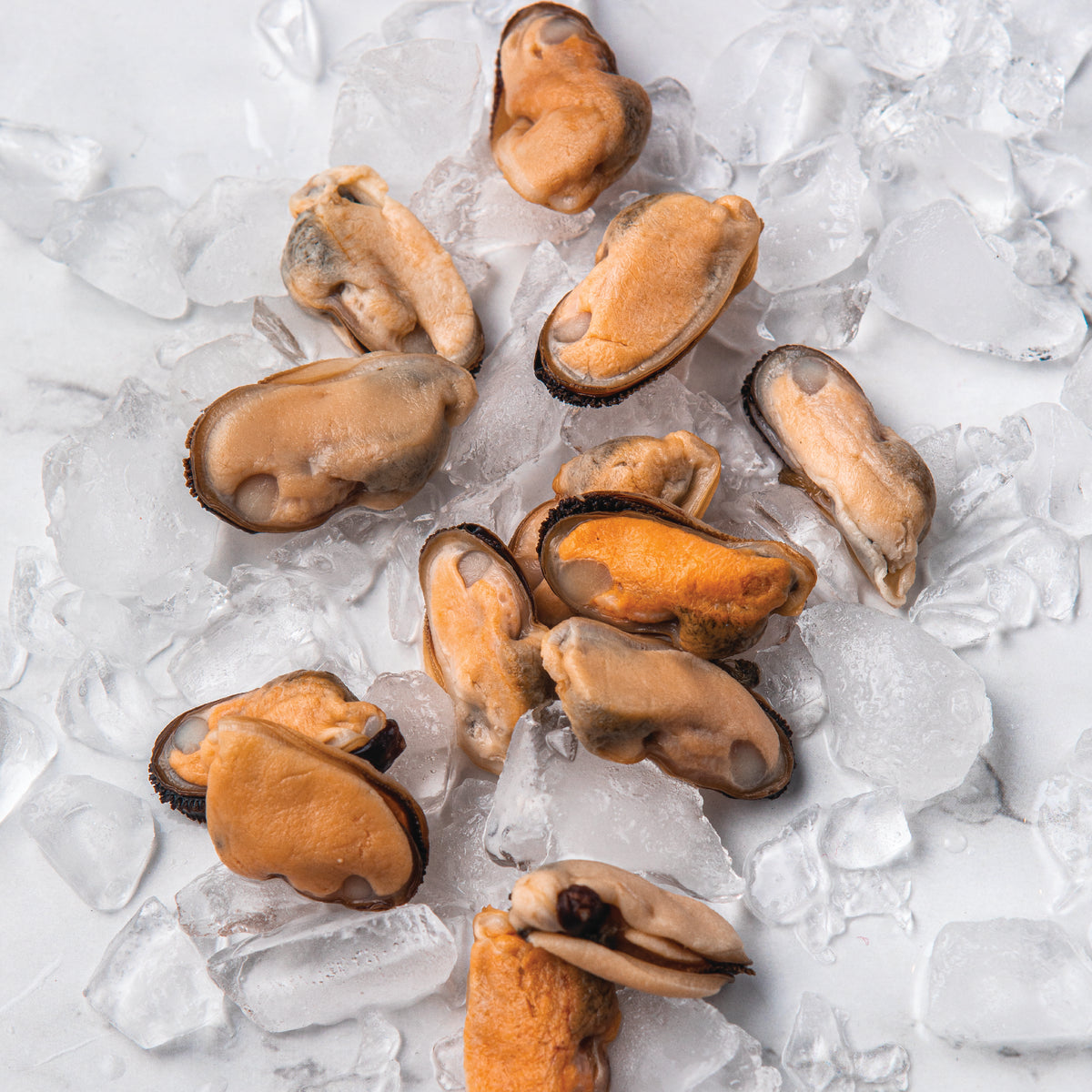 Mejillón carne premium