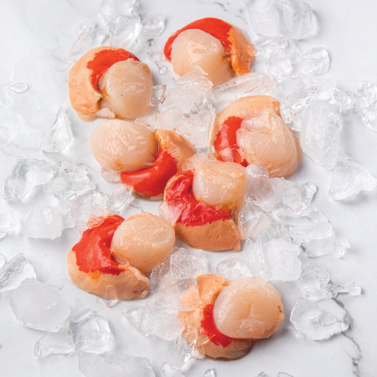 Ostión carne con coral