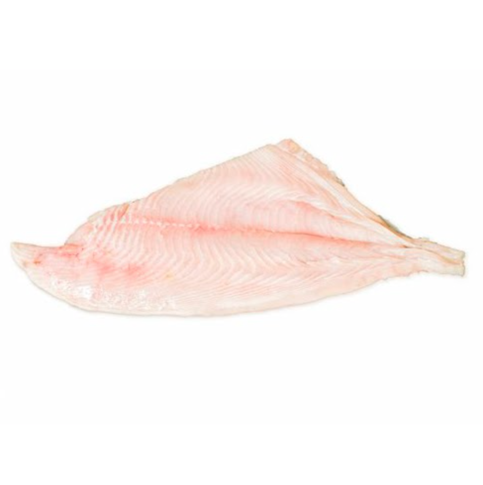 Reineta filete congelado