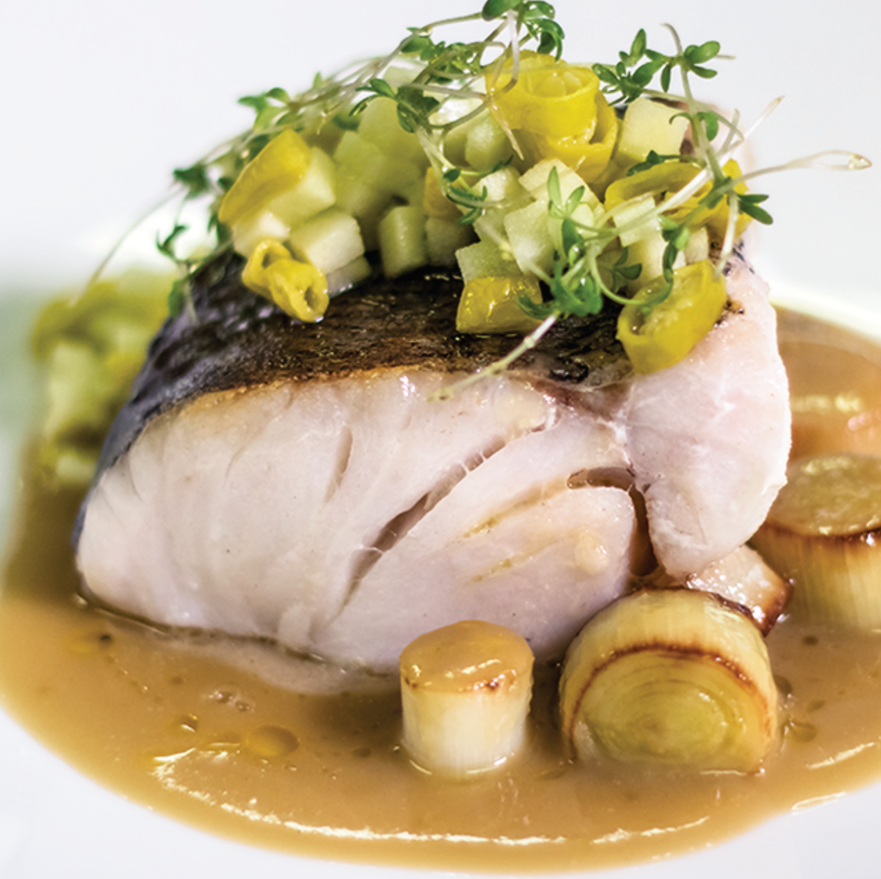 Merluza Austral congelada