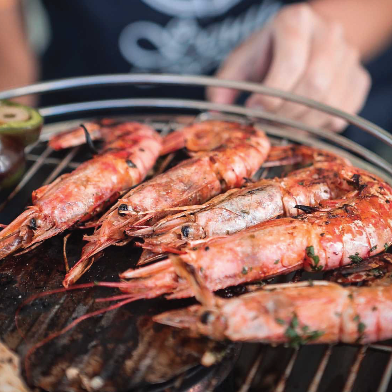 Langostino patagónico