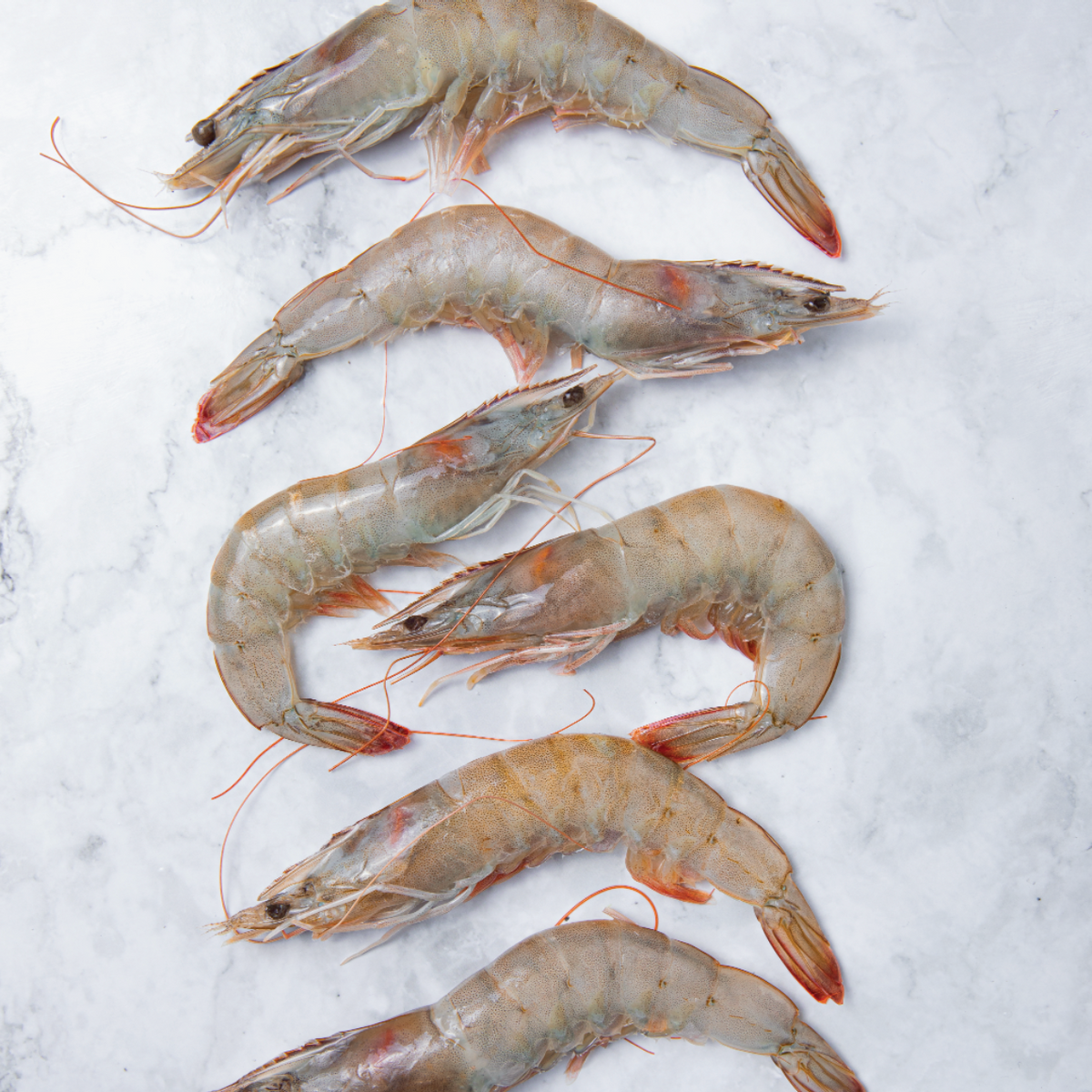 Camarón Crudo HOSO 40/50 Ecuatoriano (2kg)