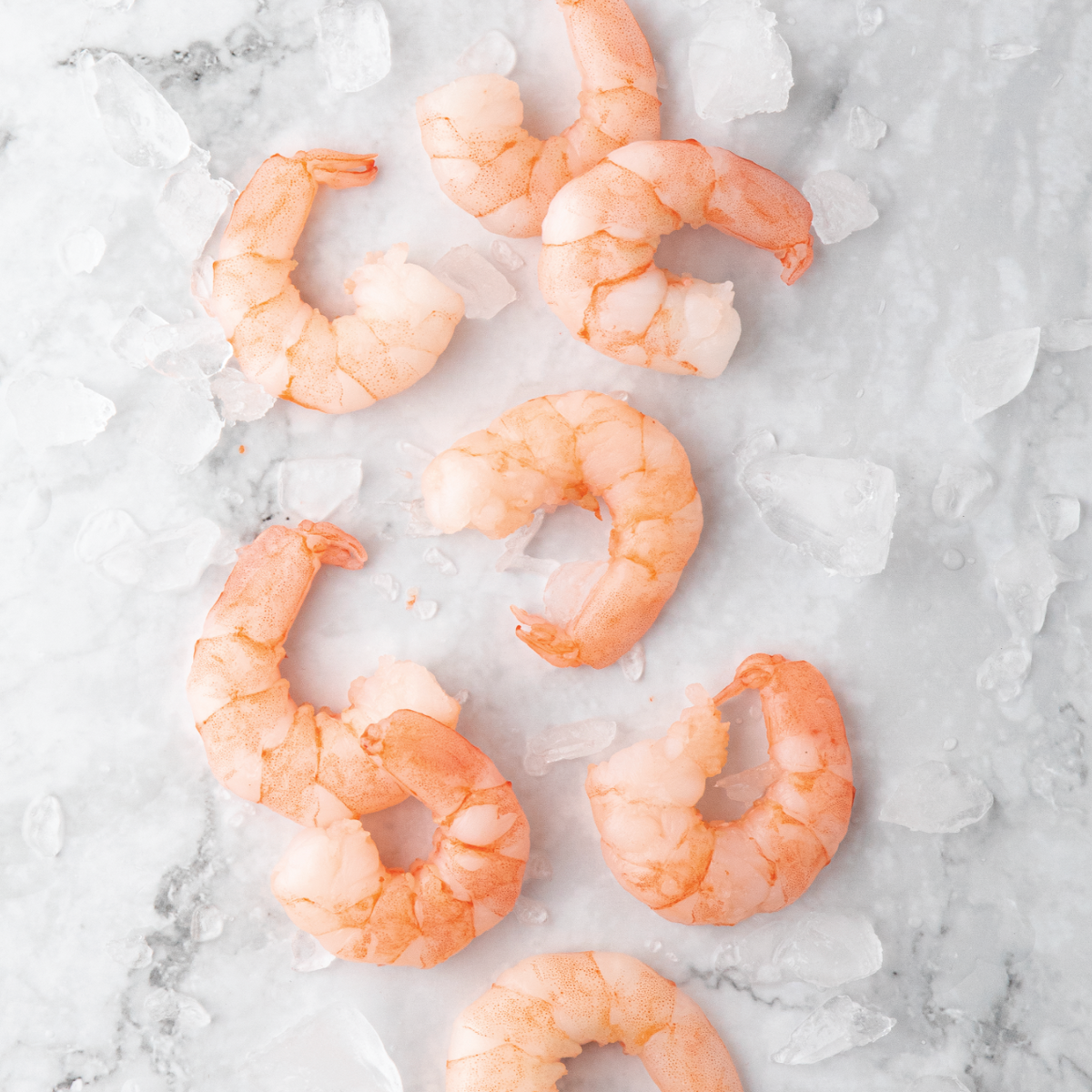 Camarón cocido medium