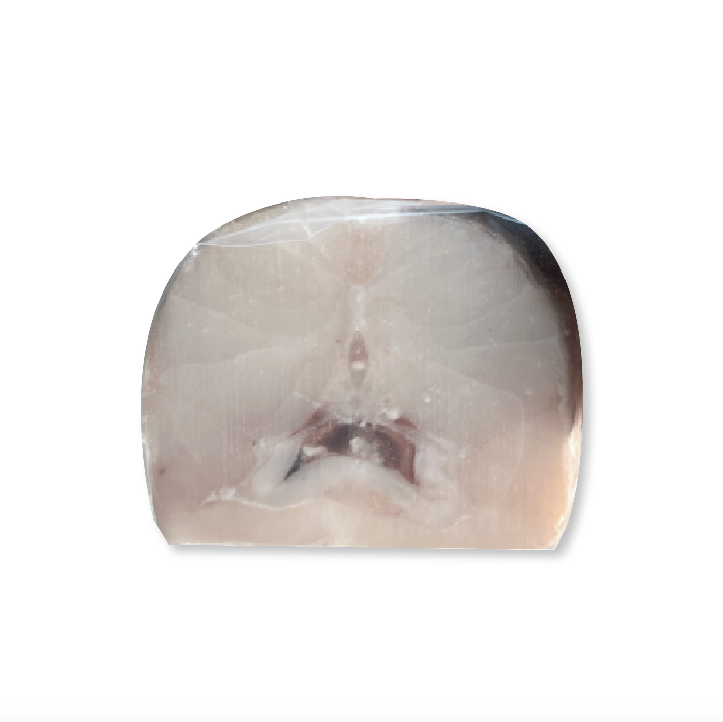 Congrio Dorado Medallón