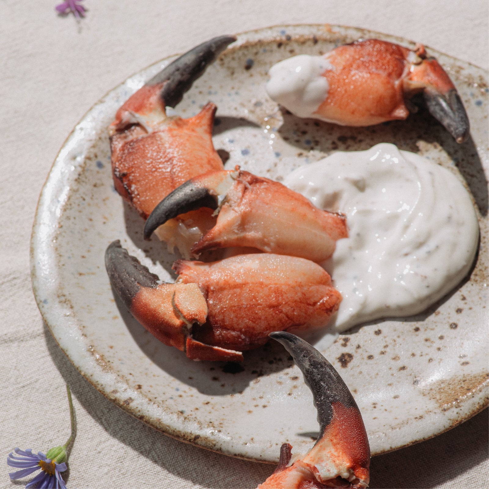 Pinzas de jaiba jumbo