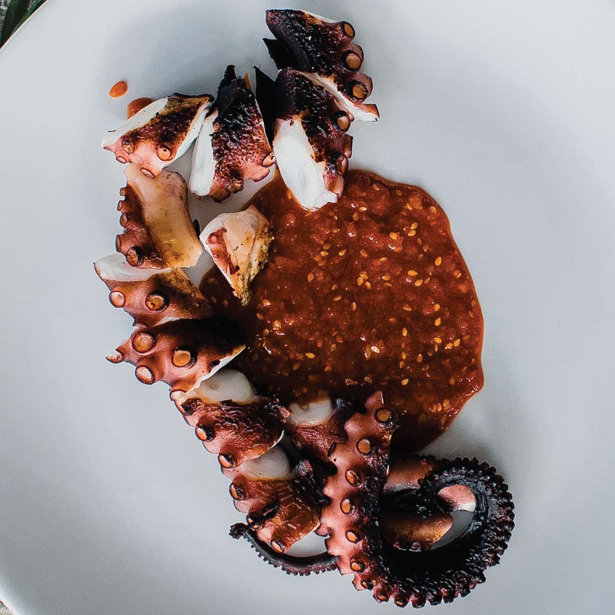 Pulpo entero crudo