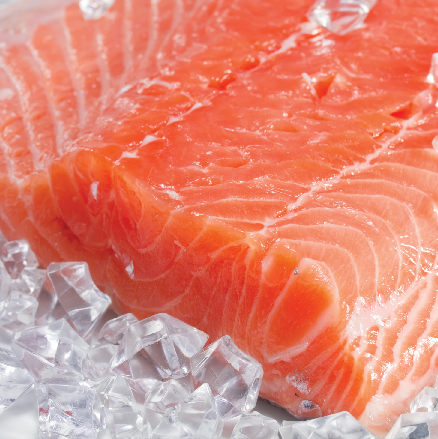 Salmón Premium sin piel fresco